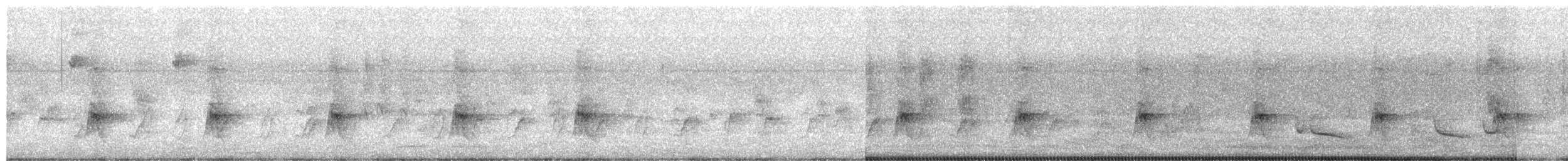 medozvěstka menší [skupina minor] - ML651669046