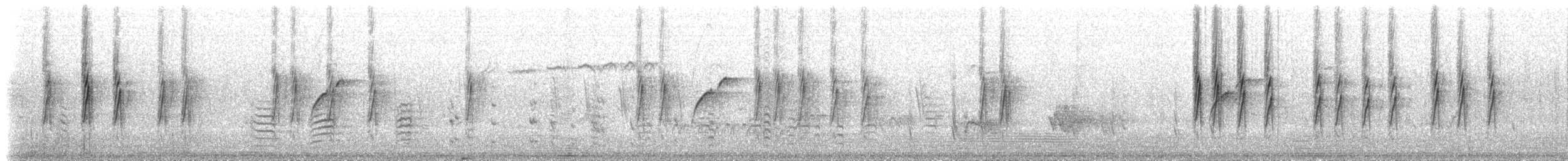 Пісняр-лісовик жовтогузий (підвид auduboni) - ML65167101