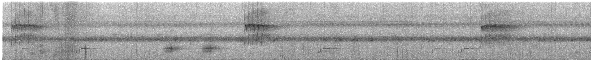 Oilagor filipinarra - ML651672244