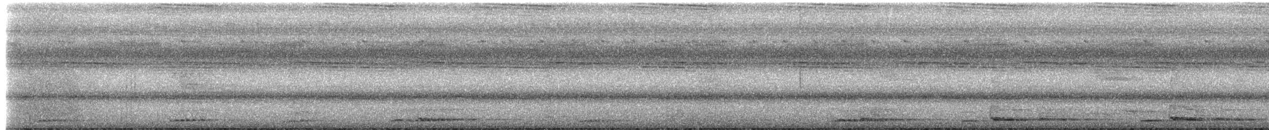 Lineated Barbet - ML651672582