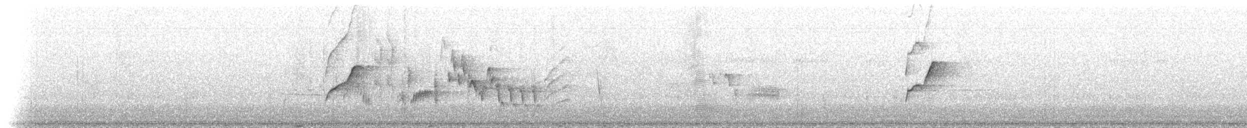 Batı Amerika Sinekkapanı (occidentalis/hellmayri) - ML65167301