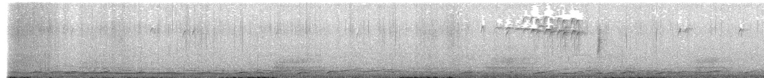 Coyote - ML651681463