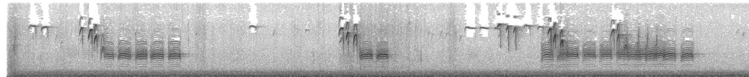 Black-capped Chickadee - ML651681655