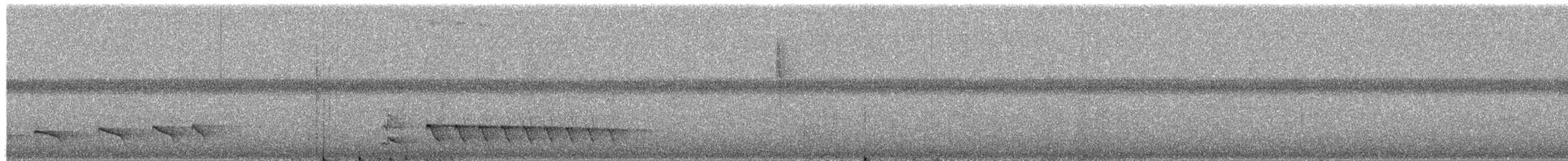 Blackish Antbird - ML651692020