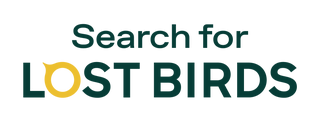 Search for Lost Birds