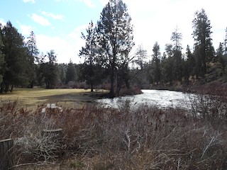Tumalo SP, Deschutes, Oregon, United States - eBird Hotspot