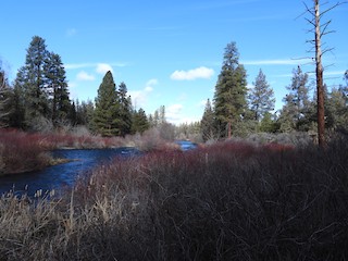 Tumalo SP, Deschutes, Oregon, United States - eBird Hotspot