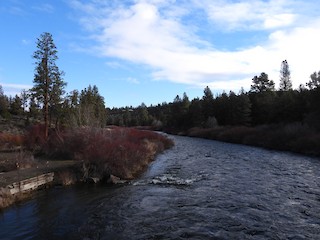 Tumalo SP, Deschutes, Oregon, United States - eBird Hotspot