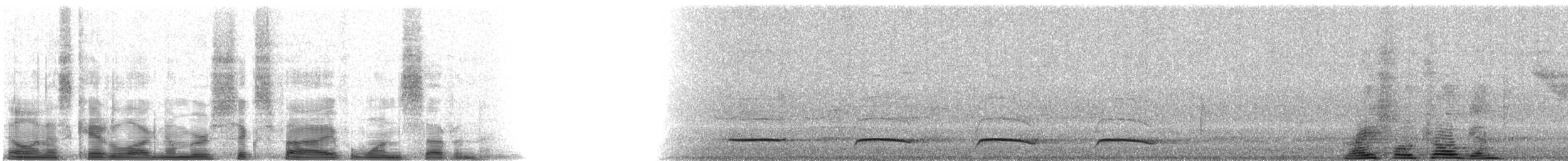 Graceful Black-throated Trogon - ML6517