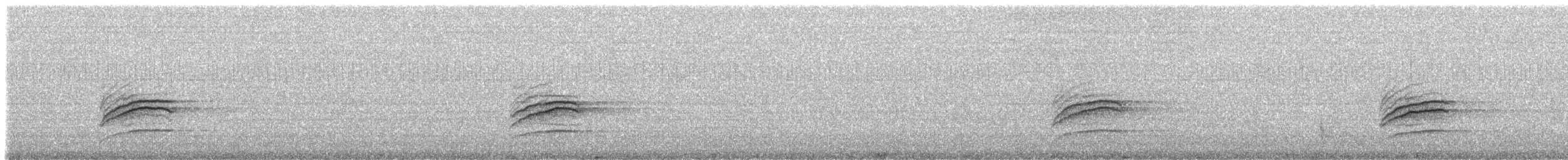 Hermit Thrush (auduboni Group) - ML65170101