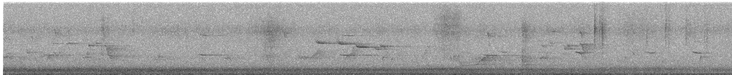 Eastern Shrike-tit - ML651706549