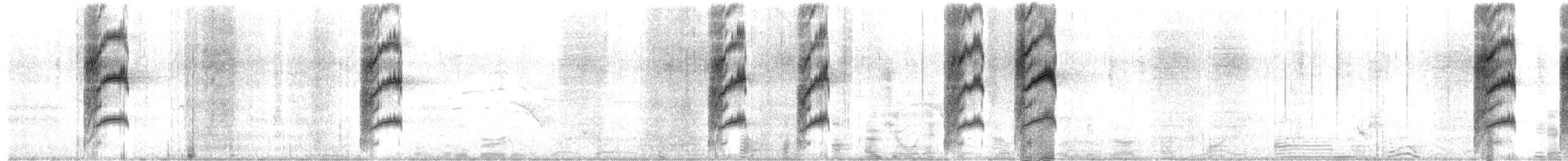 White-throated Treecreeper - ML651706725