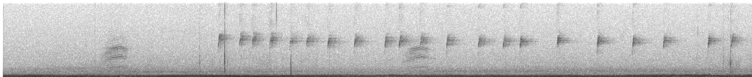 White-crowned Sparrow (Gambel's) - ML651707721