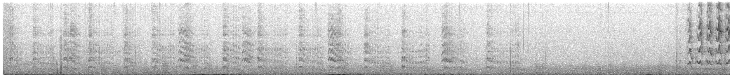 sapsucker sp. - ML651708097