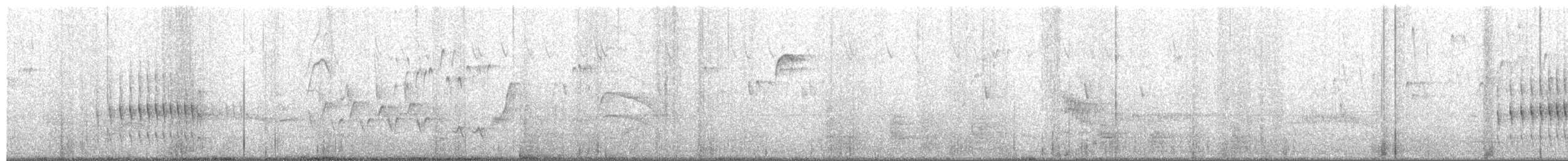 Plain Thornbird - ML651731291