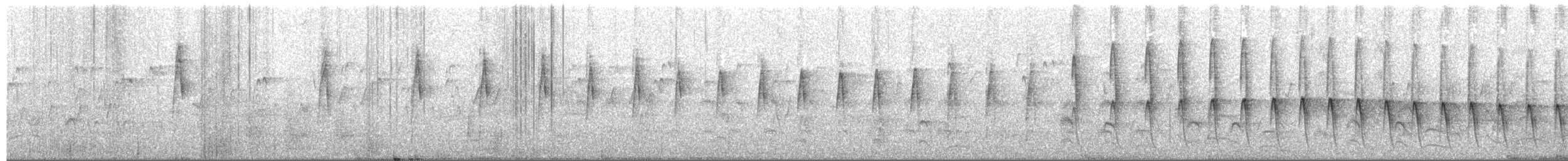 Plain Thornbird - ML651731292