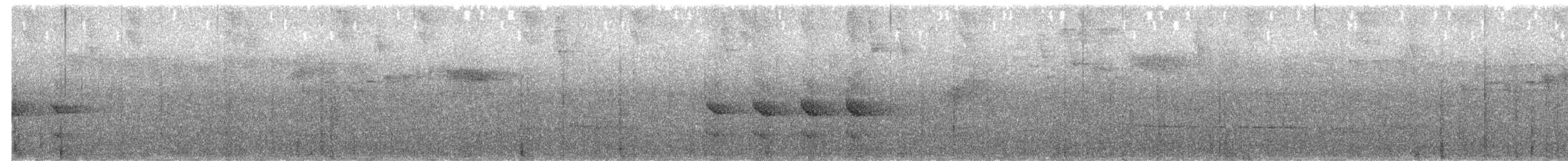 Western Woodhaunter - ML651734361