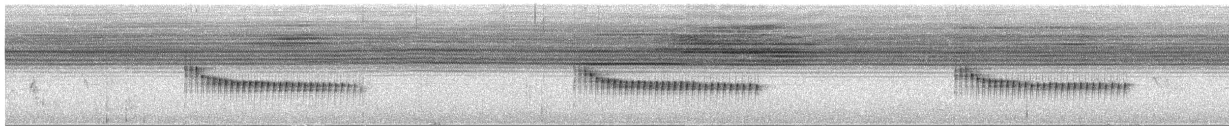 Namafeinsänger - ML651736840