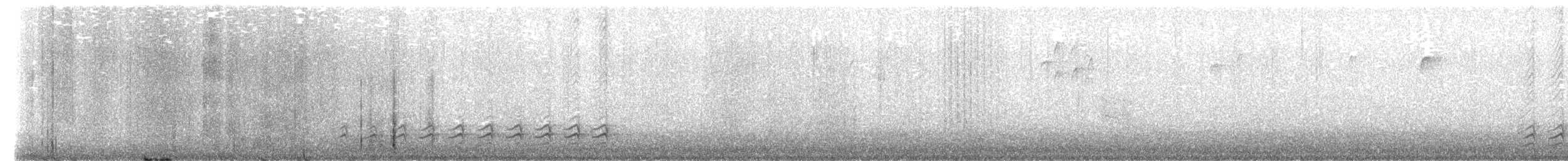 White-breasted Nuthatch - ML651742546