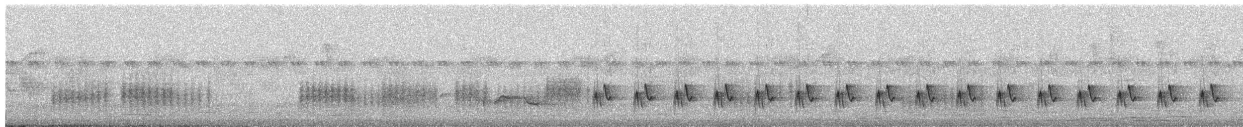 Apalis Pechigualdo (Colipardo) - ML651742728