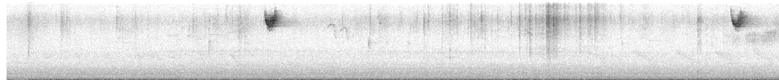 ノドジロシトド - ML651749901