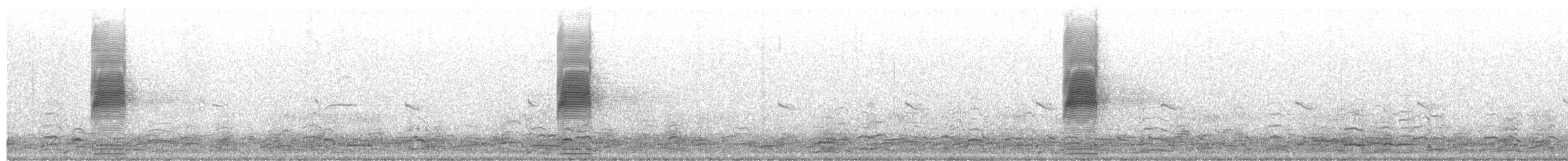 American Woodcock - ML651766854