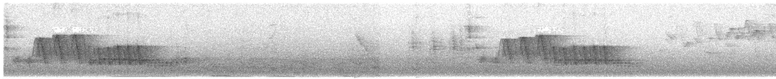 Southern House Wren - ML651768743