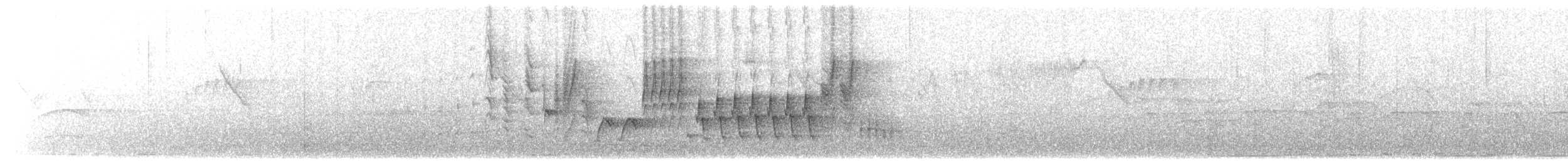 Southern House Wren - ML651770099