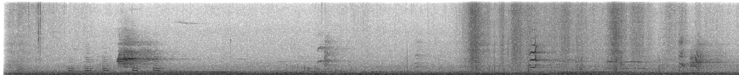 Common Wood-Pigeon (White-necked) - ML651770225