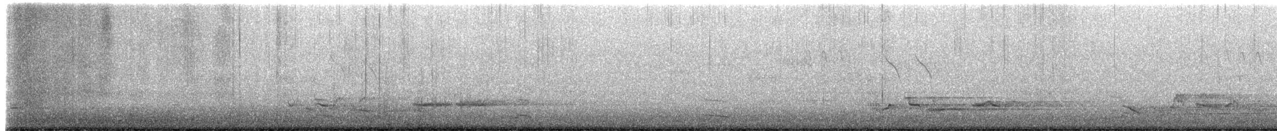 European Herring Gull - ML651771670