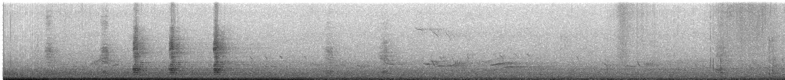 Egyptian Goose - ML651772017