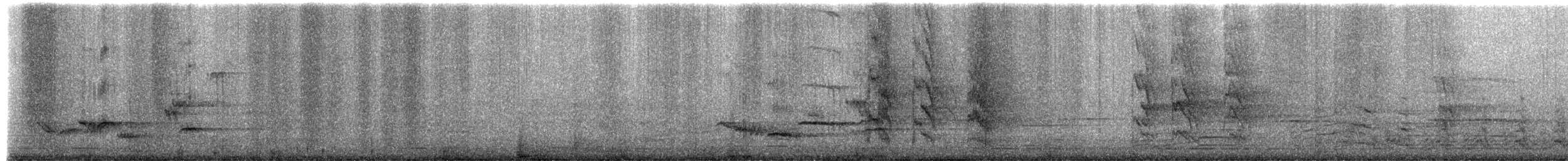 Rose-ringed Parakeet - ML651772380