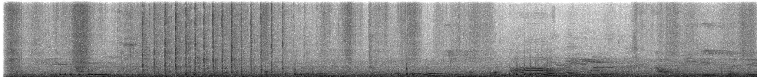 Rock Pigeon (Feral Pigeon) - ML651772817