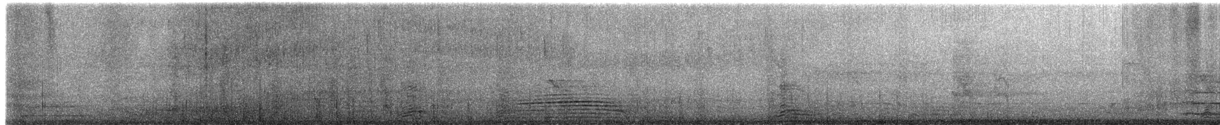 European Herring Gull - ML651772973