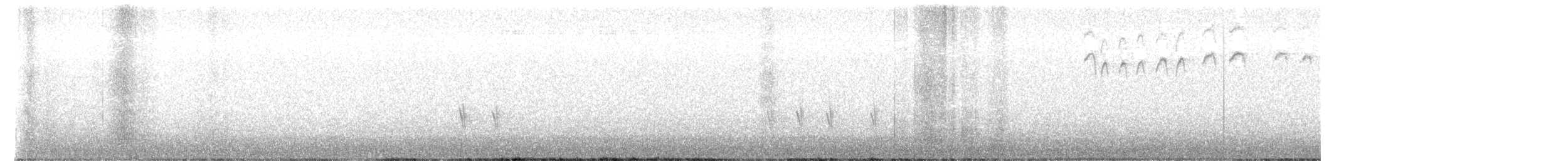 Red/Cassia Crossbill - ML651779019