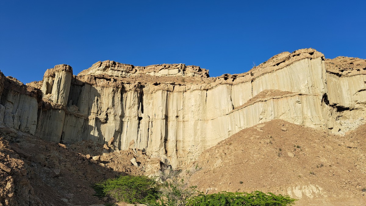 null - ML651780519