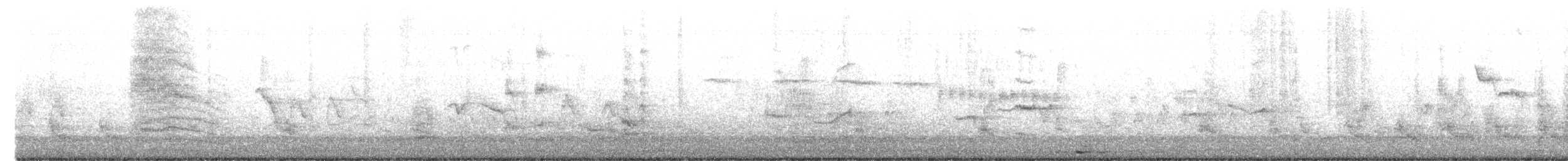 ネコマネドリ - ML651783835