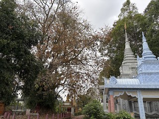 Wat Prek Eng, Phnum Pénh, Cambodia - eBird Hotspot