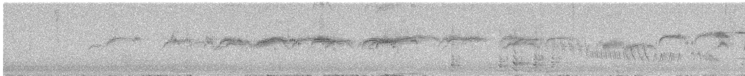 Серпокрилець чорний - ML651788723