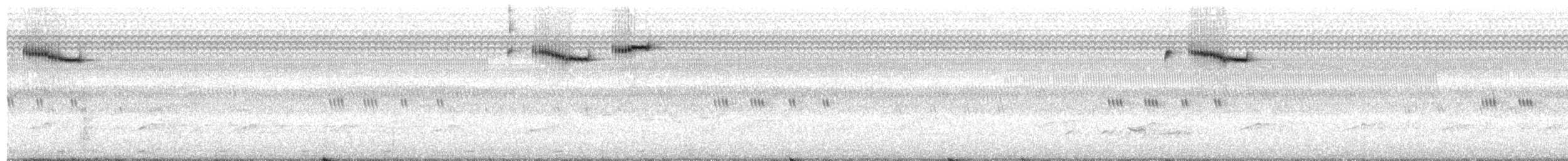 Куцокрил довгохвостий - ML651788899