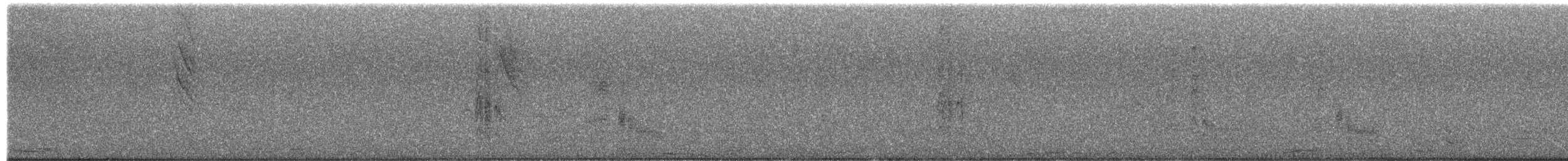 Common Squirrel-Cuckoo - ML651790689