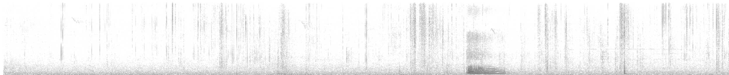 סנאי אפור - ML651795453