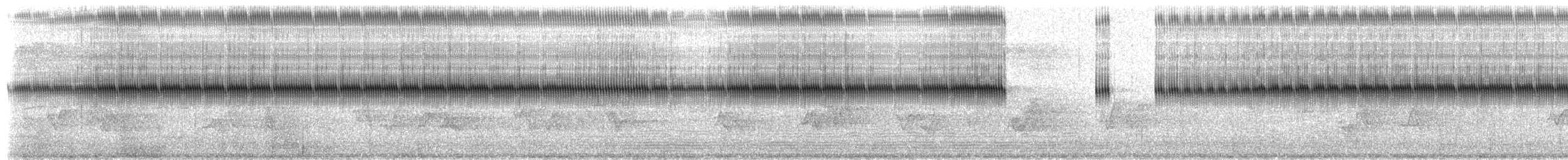 Carolina Ground Cricket - ML651796298
