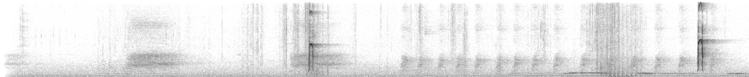 Hairy Woodpecker - ML651799116