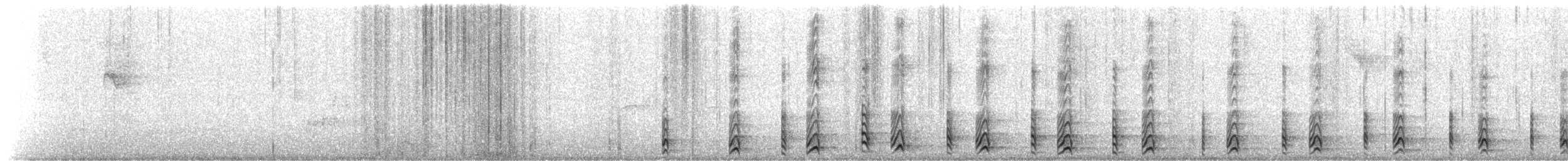 Red-bellied Woodpecker - ML651799118