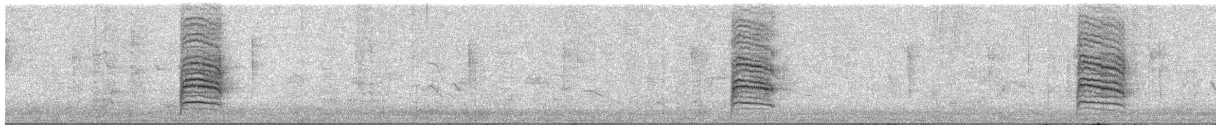 ネコマネドリ - ML651799627