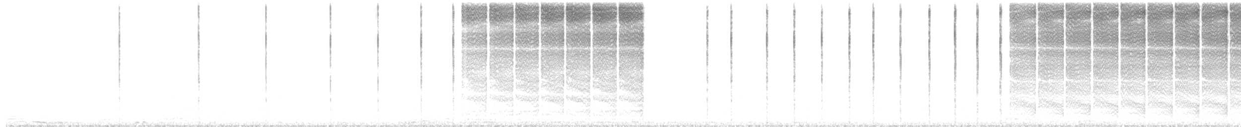 Northern Bush Katydid - ML651799926