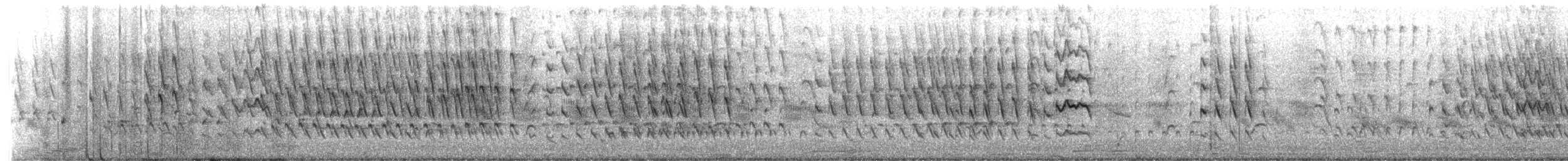 אווזון שחור-בטן - ML651800441