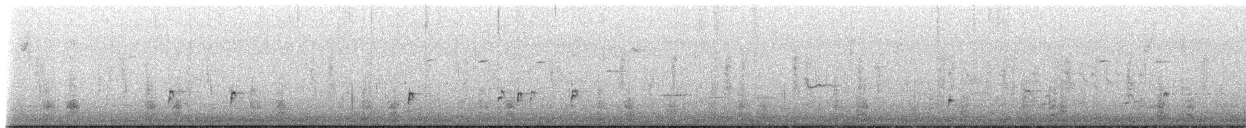 琵嘴鴨 - ML651801499