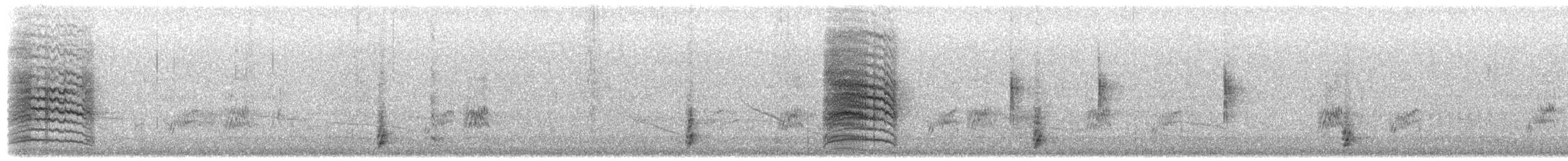 ネコマネドリ - ML651801558